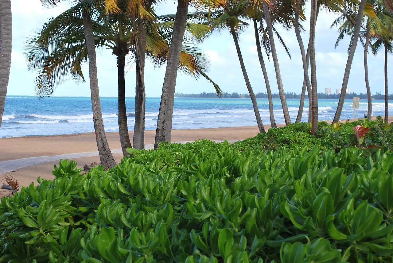1 Bedroom Beachfront Apartment At Rio Mar Rio Grande Puerto Rico